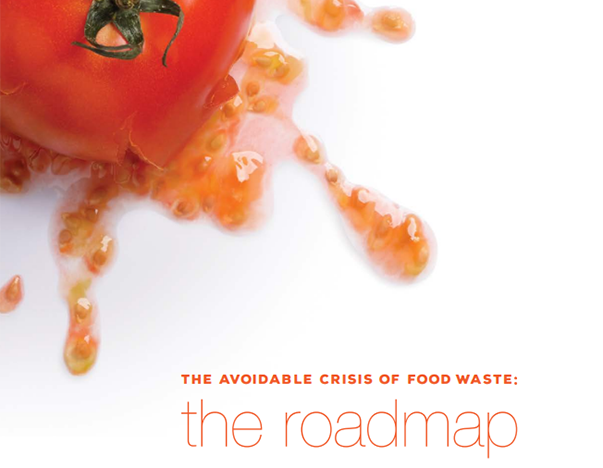 The Avoidable Crisis of Food Waste. The roadmap.