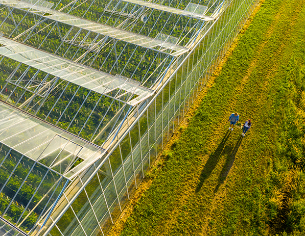 A large greenhouse.