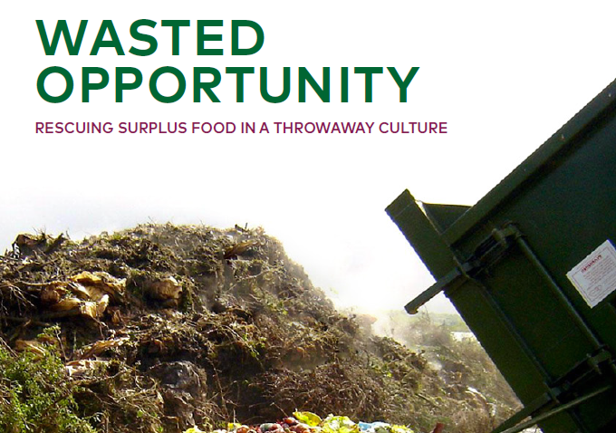 Wasted Opportunity. Rescuing surplus food in a throwaway culture.